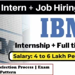 IBM Software Developer Internship 2024 | IBM Intern Hiring 2024 2025 IBM Software Developer Internship 2024