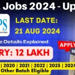 IBPS SO notification 2024 – IBPS SO Selection Process 2024 IBPS SO notification 2024