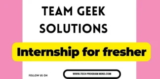 Team Geek Solutions Hiring 2024 | Team Geek Solutions Company Internship Team Geek Solutions Hiring 2024