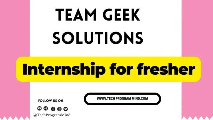 Team Geek Solutions Hiring 2024